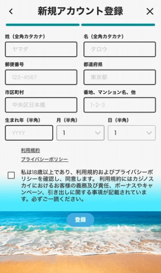 カジノスカイ登録Step3