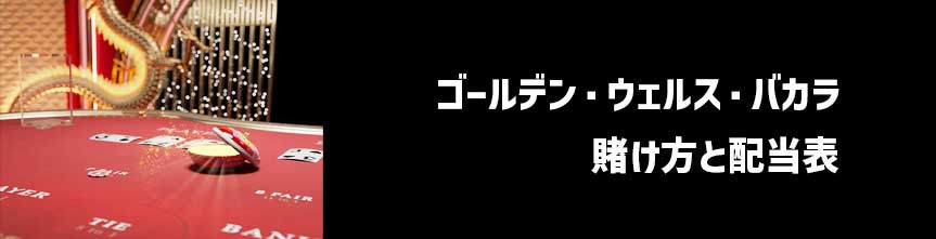 ゴールデンウェルスバカラ-配当表